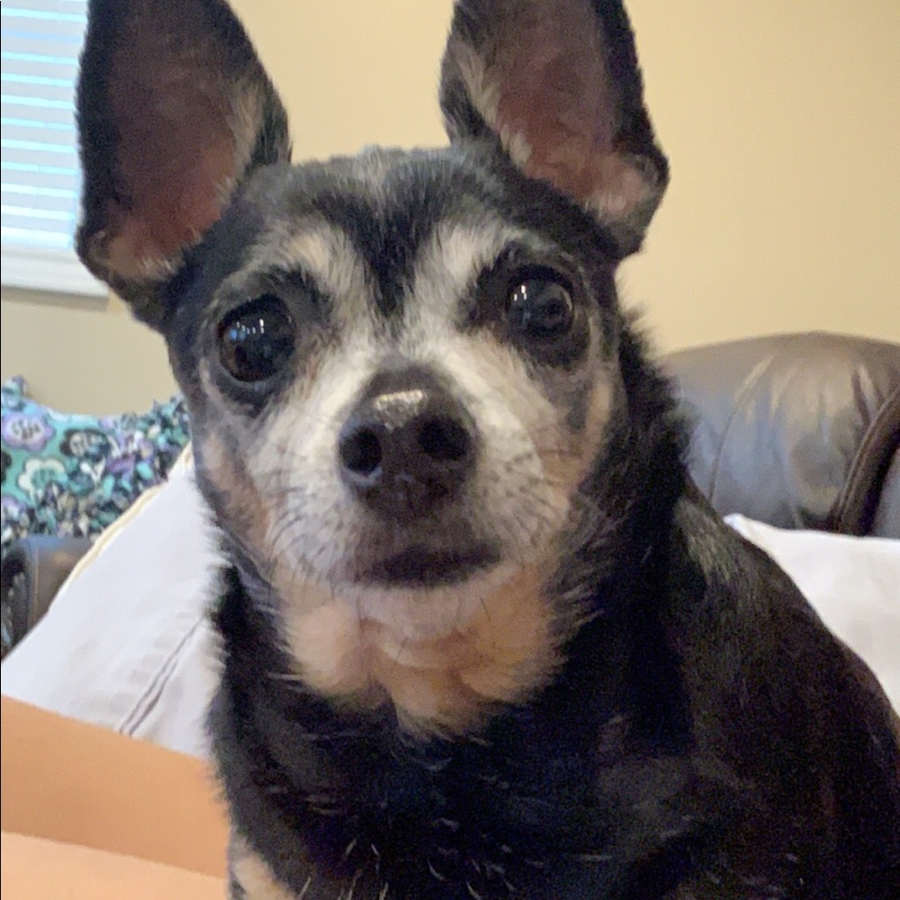 Meet your Posher, Marina